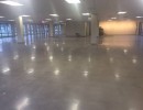polished concrete11