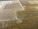 bdc coatings terrazzo restoration